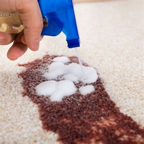 Eliminate Stains in a Flash with the Giant Magical Stain Remover